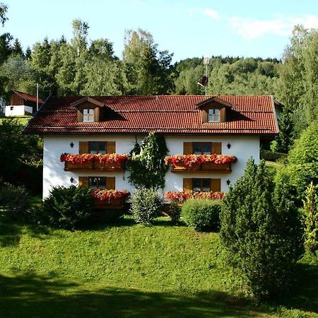 Ferienwohnungen Haus "Wildschuetz" Frauenau Dış mekan fotoğraf